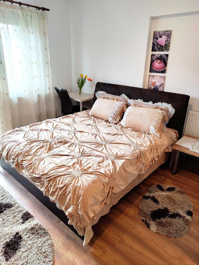 브라쇼브 Casa De Vis 아파트 외부 사진